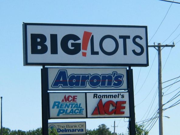 Big Lots Shopping Center: 900 Norman Eskridge Hwy., Seaford, DE 19973